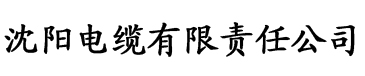 亚洲秋霞影院电缆厂logo